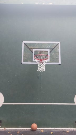 Basketball Court