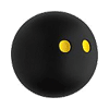 Squash News – 4 SAC Squash facts
